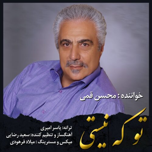 دانلود آهنگ محسن قمی تو که نیستی
